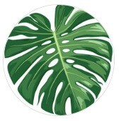 storefront logo