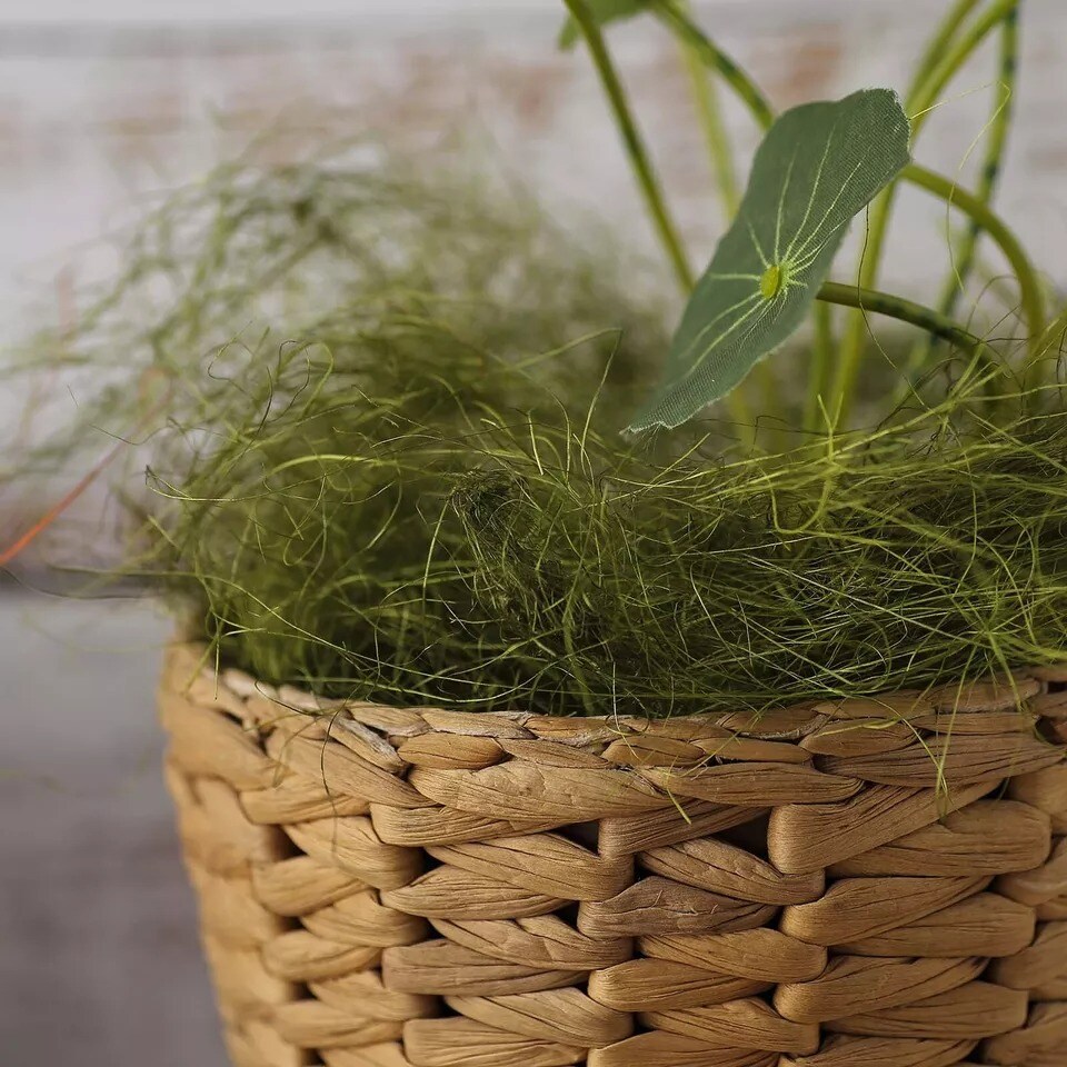 50g Green Natural Moss Grass Gift Box Vase Fillers Wedding Party Decorations