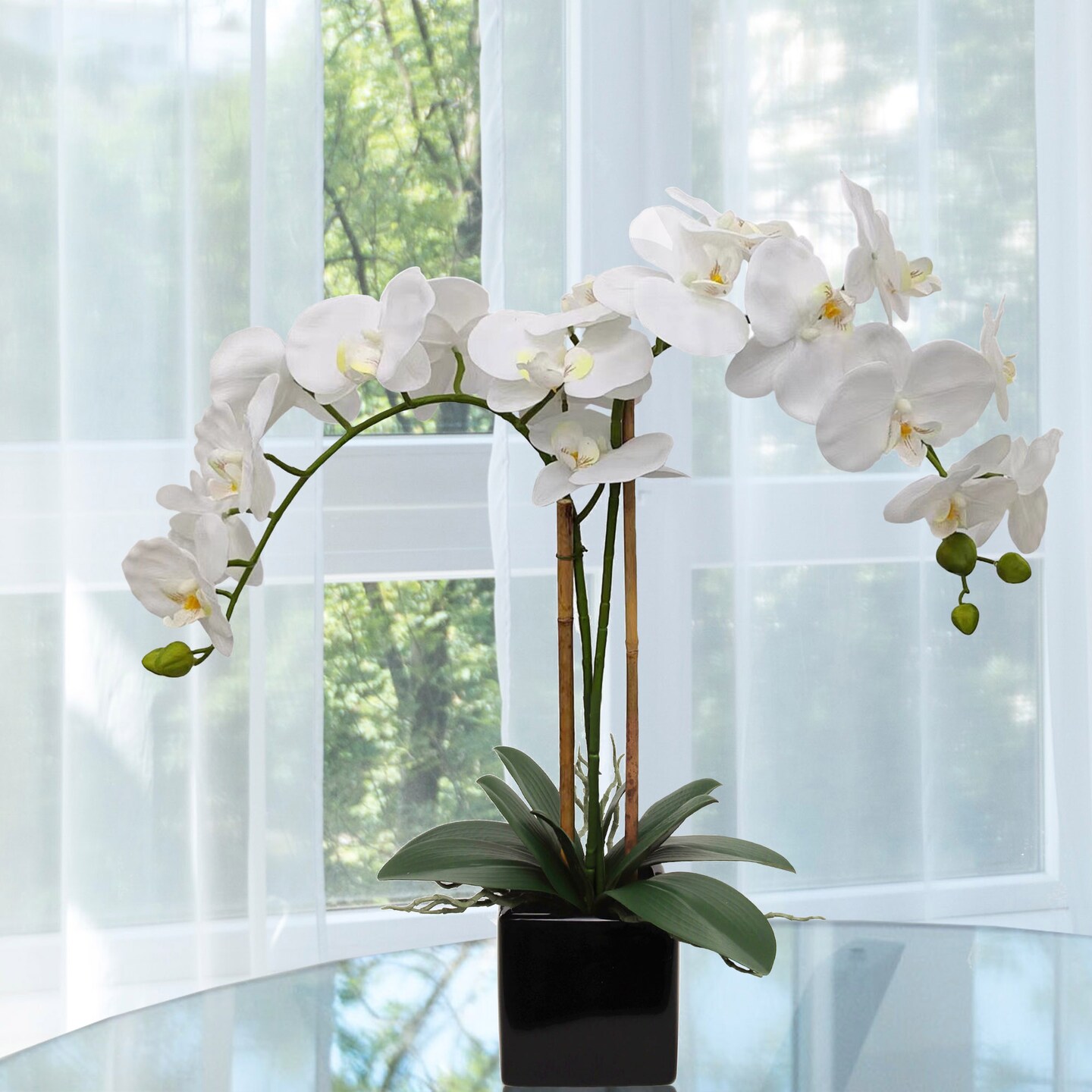 2 White Phalaenopsis in 5" Black Cube Pot, Elegant Orchid Arrangement, Perfect for Home, Office, and Event Décor, Floral Home by Artificial Flowers