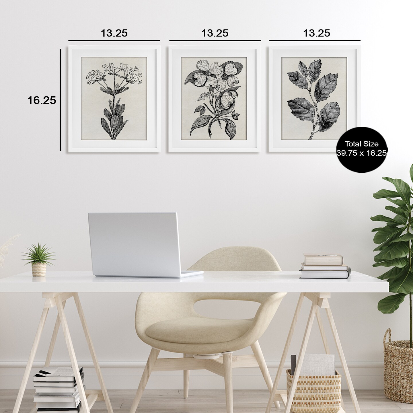 Stupell Industries Classic Natural Botanicals 3pc Framed Print Under Glass Set, design by Karen Smith