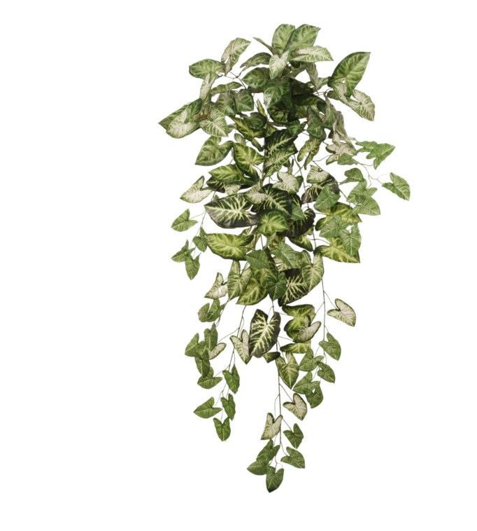 12pcs Hanging Nephtytis Bush 36&#x22; - 2025 Spring Collection
