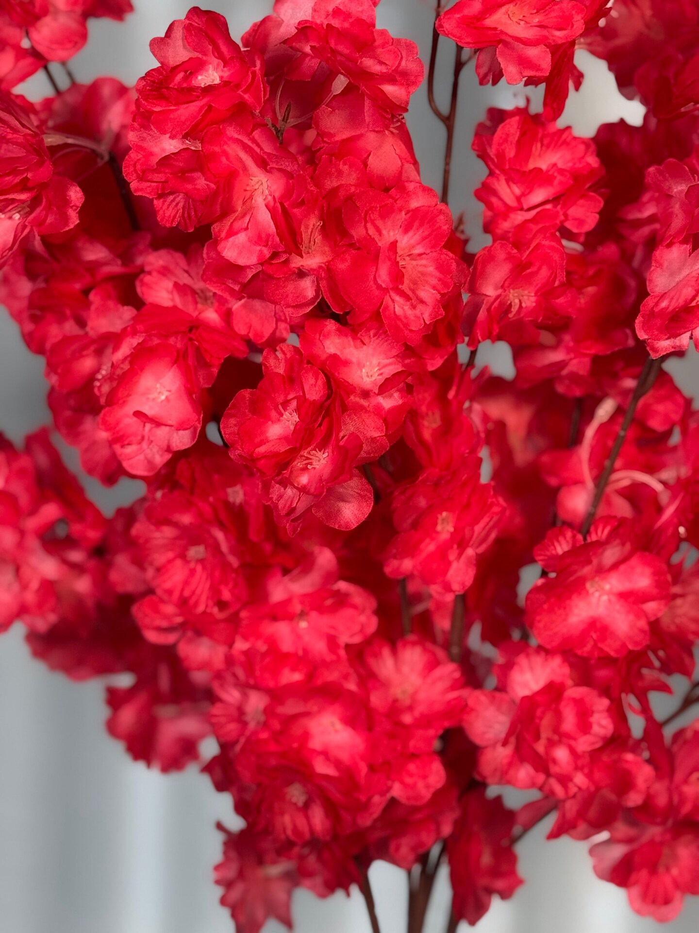 Mila Red Fucshia Silk Cherry Blossom Flower Branches 3 Pack 36''