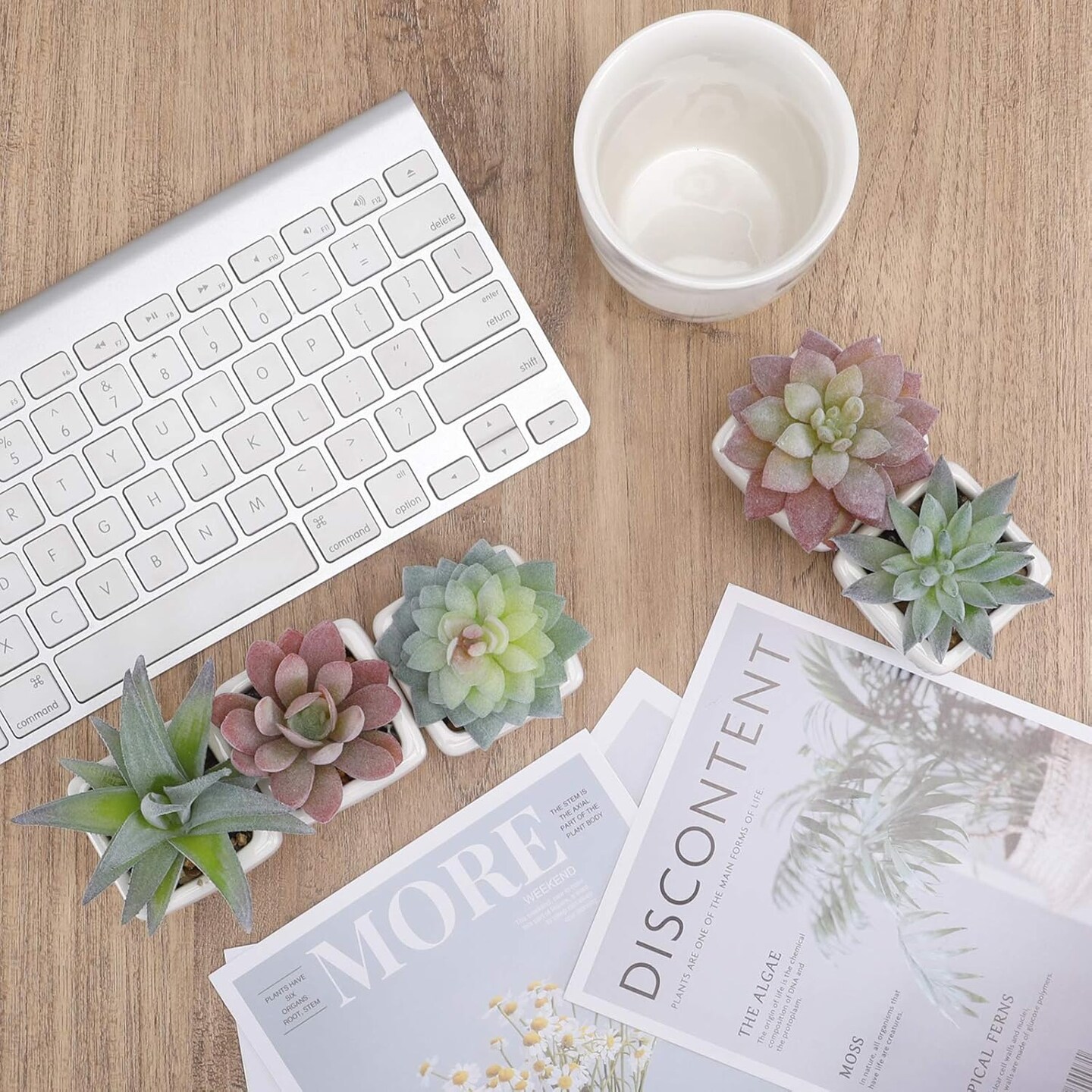5-Pack Artificial Succulent Plants in White Ceramic Pots – Small Realistic Fake Desk Plants for Home, Office, Bedroom, Living Room, Shelf & Windowsill Decor