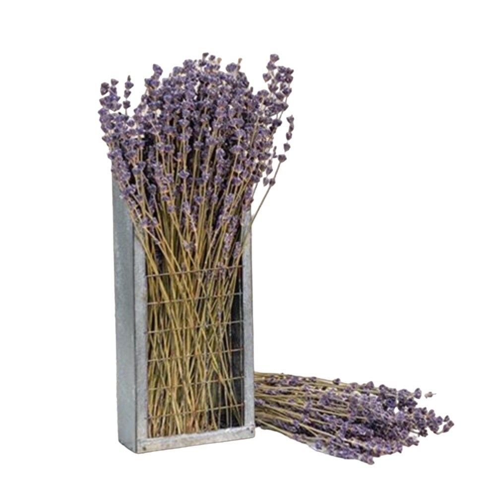 Dried Lavender Bunch 13&#x22;