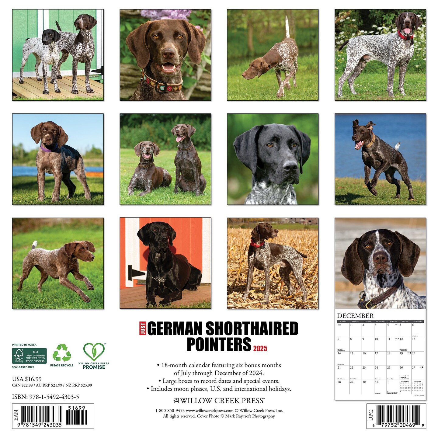 German Shorthaired Pointers 2025 Wall Calendar