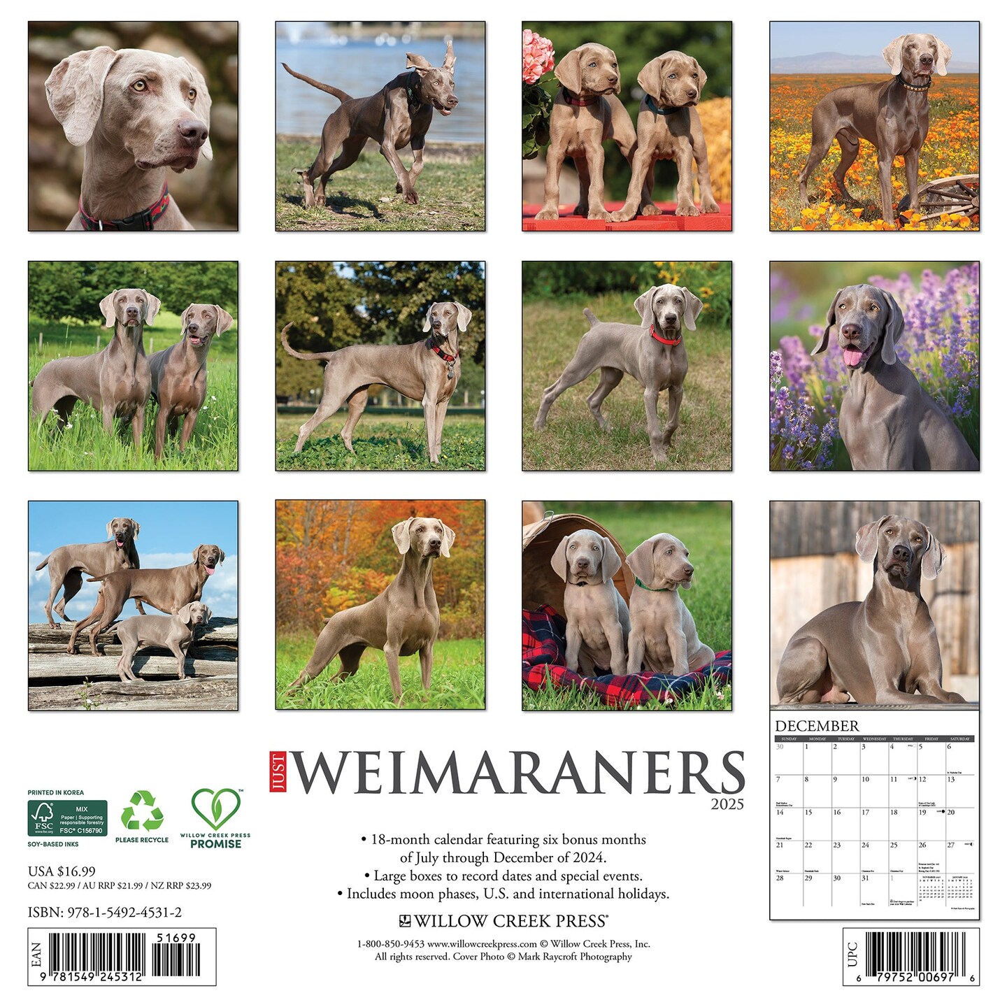 Weimaraners 2025 Wall Calendar