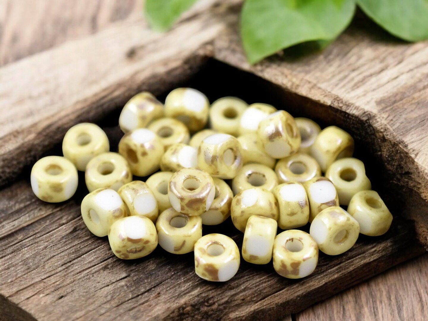 20g 3 Cut Chalk Rembrandt 2/0 Matubo Beads