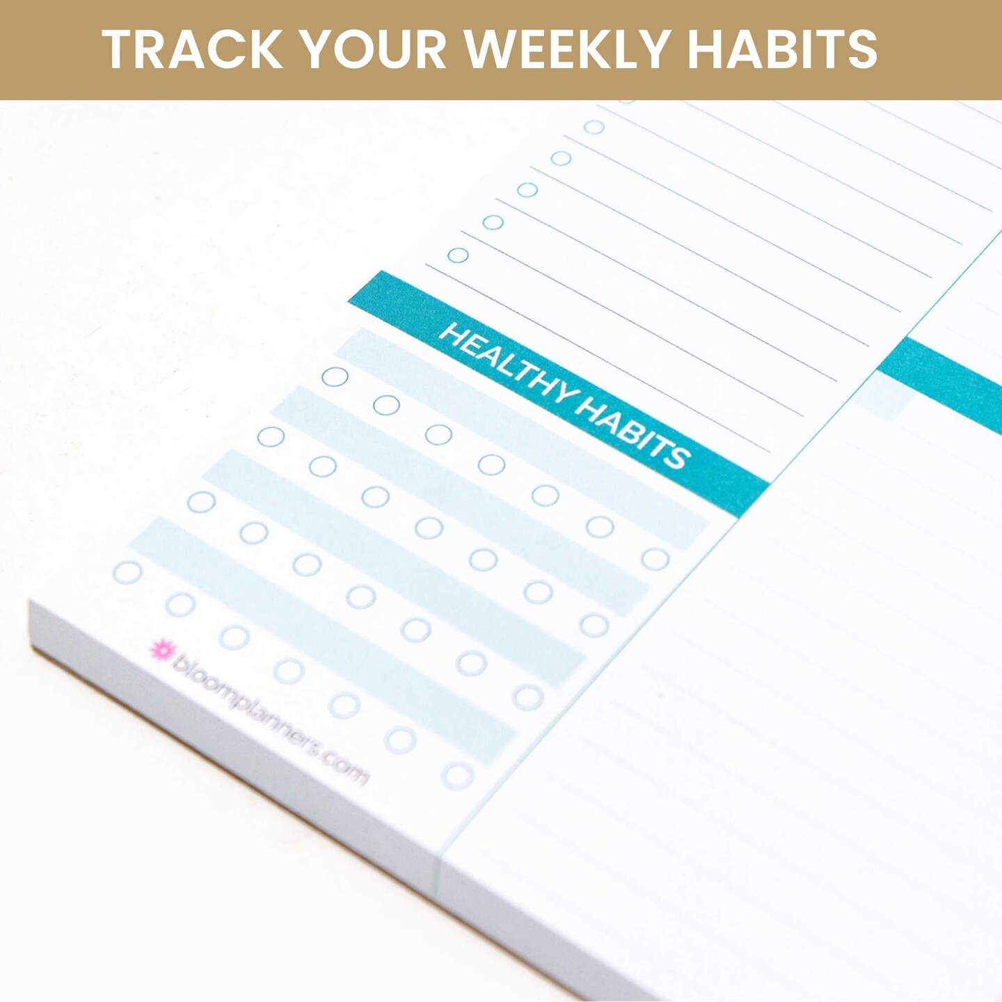 bloom daily planners Planning Pad, 8.5&#x22; x 11&#x22;, Horizontal Weekly Planner, Teal Floral