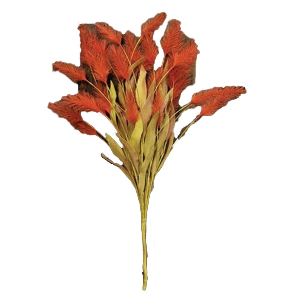 Dog Tail Grass Bush, Orange, 20&#x22;