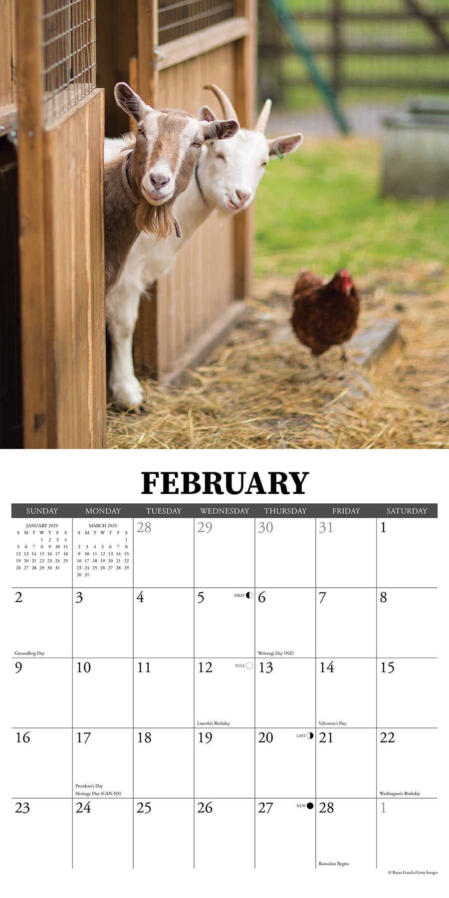 Farms 2025 Wall Calendar