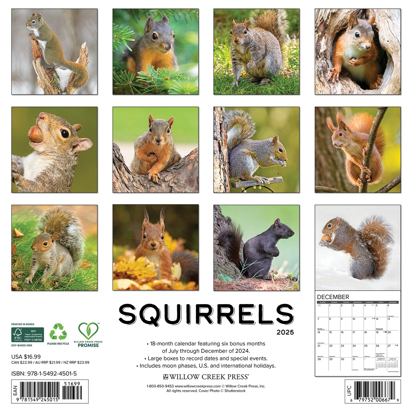 Squirrels 2025 Wall Calendar