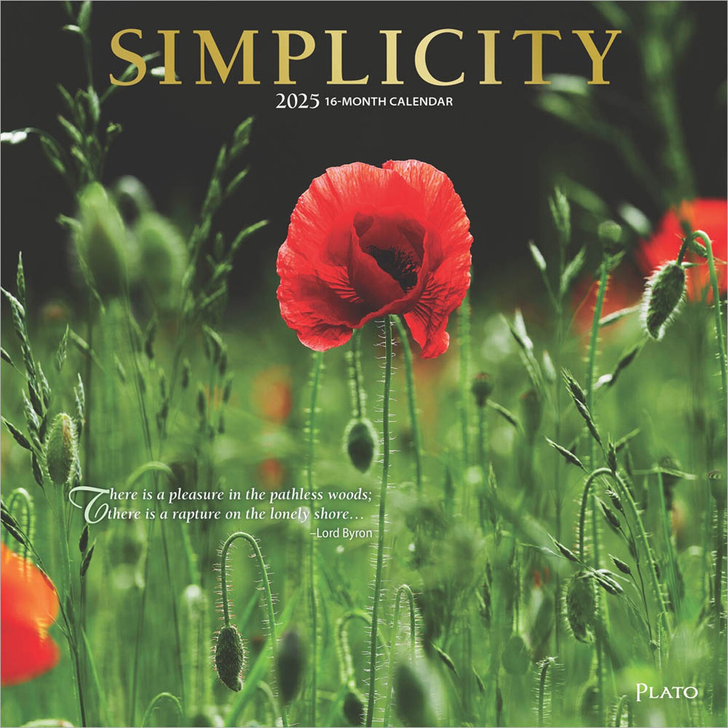 Simplicity | 2025 12 x 24 Inch Monthly Square Wall Calendar | Foil Stamped Cover | Plato | Inspiration Photography 