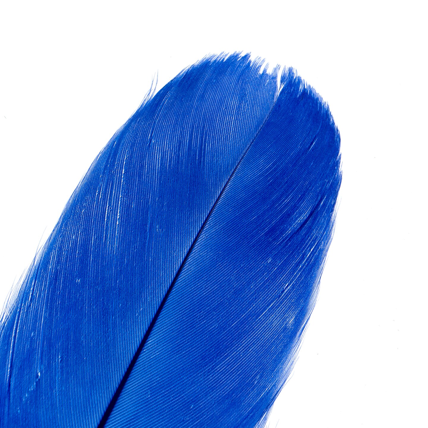 John Bead 5-7in Goose Feathers (3 Headers, 18g)
