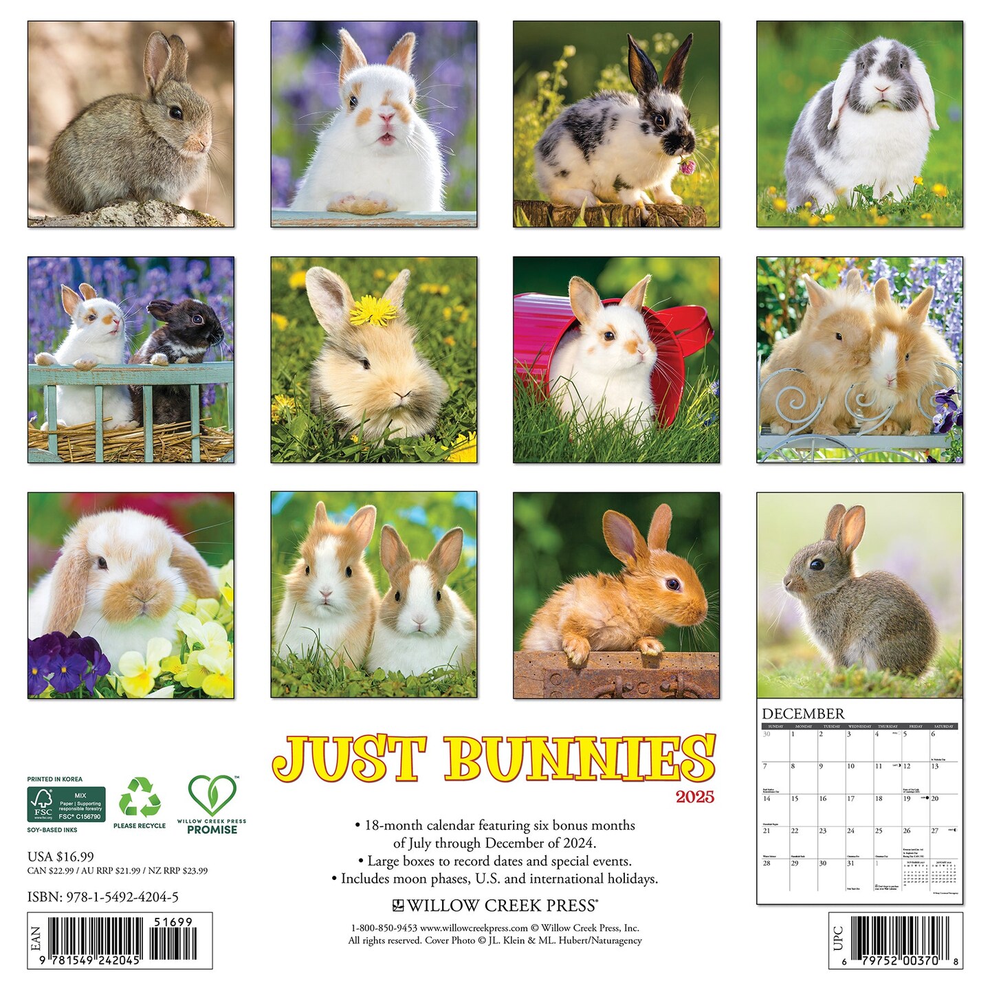 Bunnies 2025 Wall Calendar
