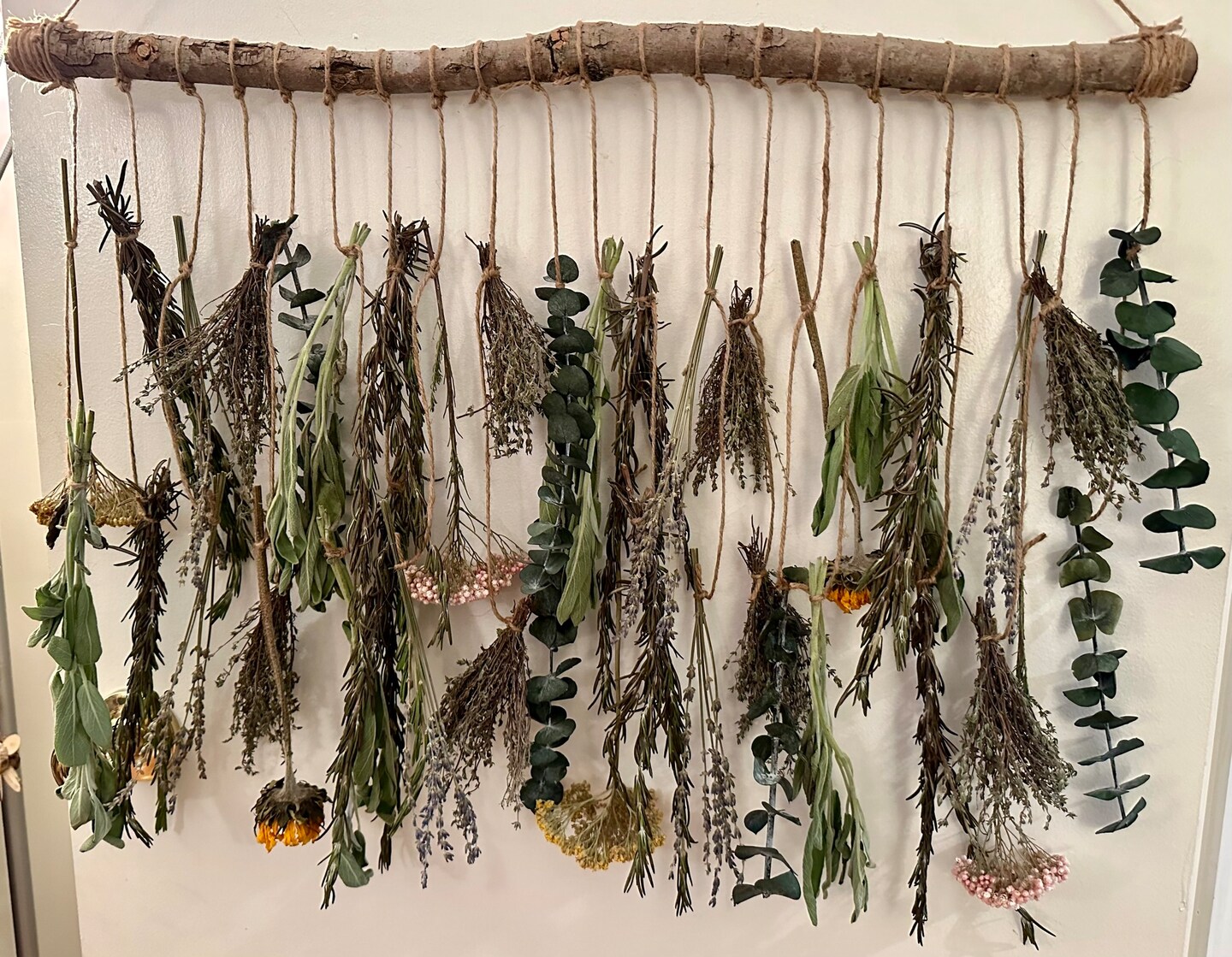 Hanging Herbs and Flowers | MakerPlace by Michaels