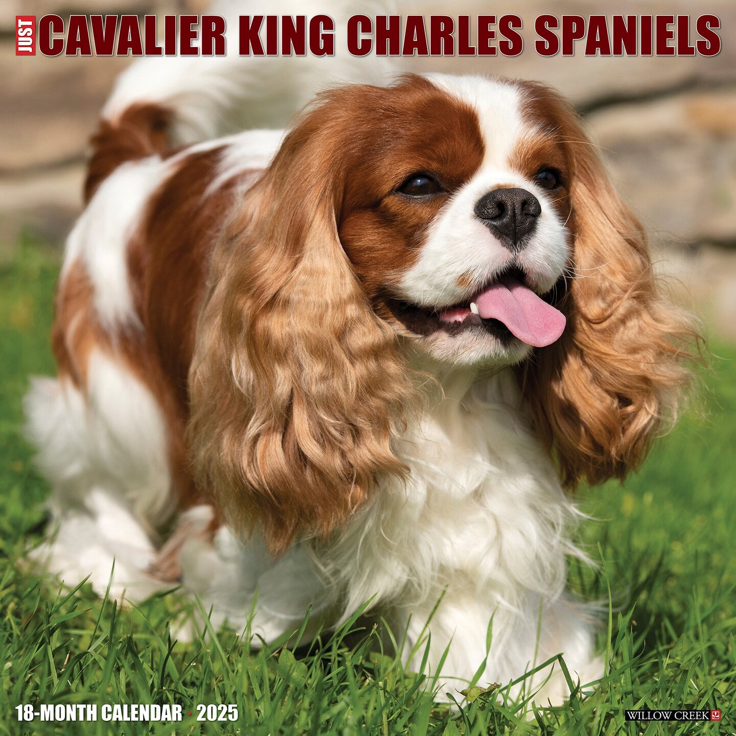 Cavalier King Charles Spaniels 2025 Wall Calendar