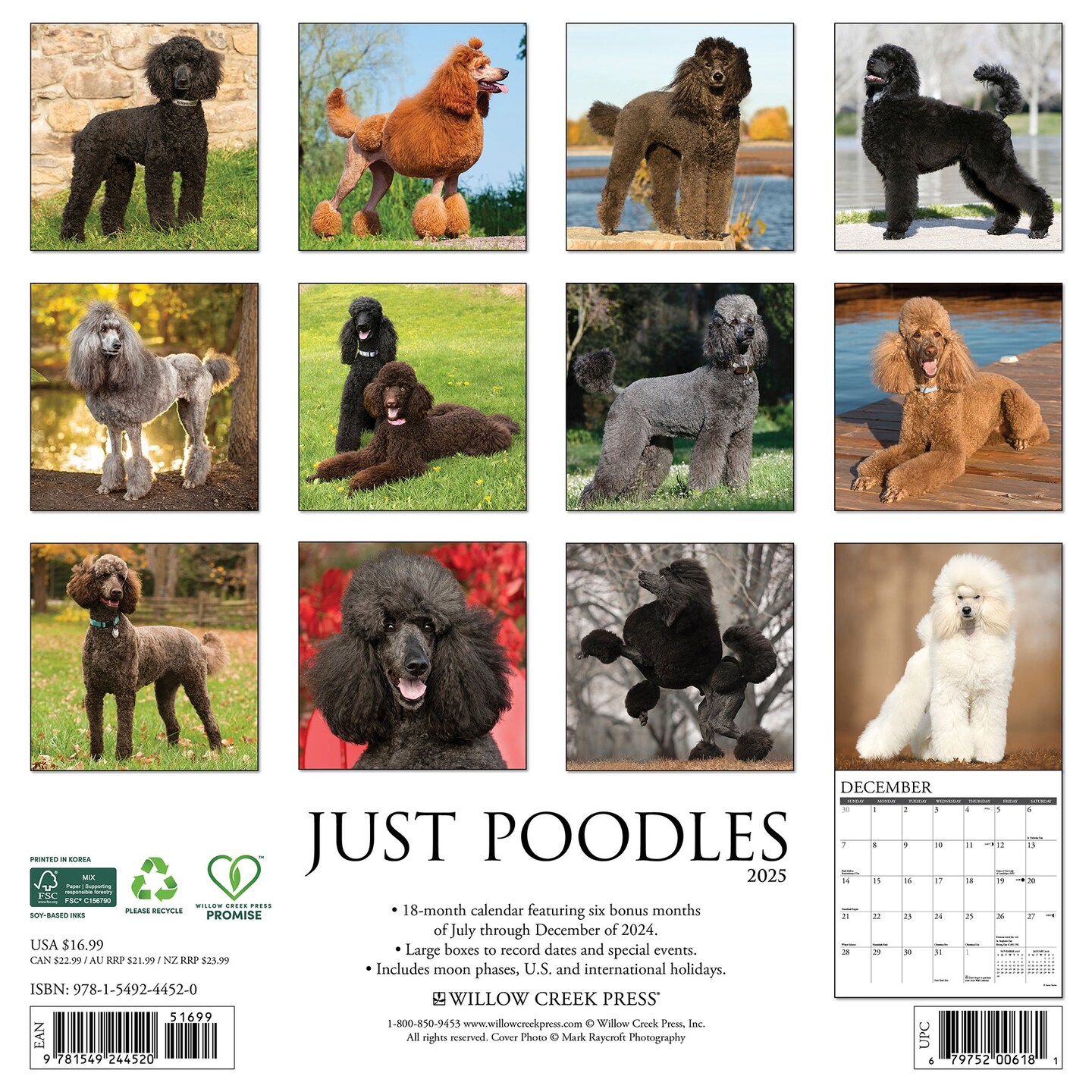 Poodles 2025 Wall Calendar
