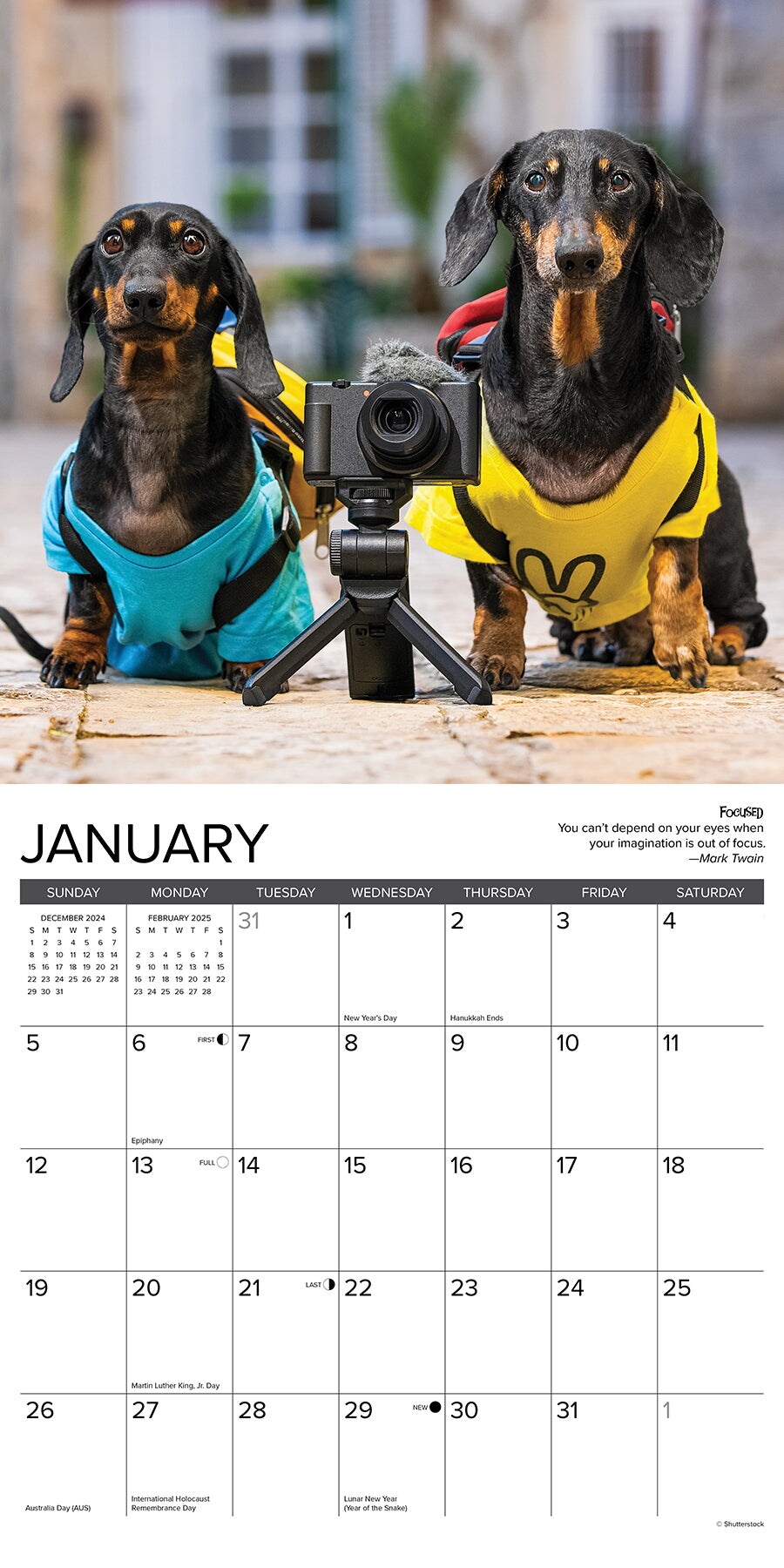 Dachshund Rules 2025 Wall Calendar