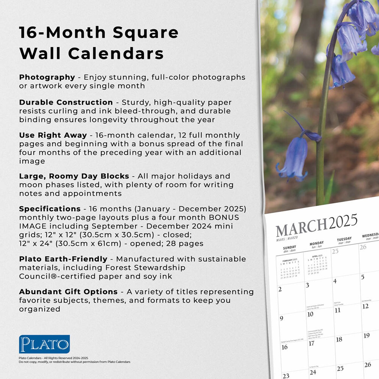 Wildflowers | 2025 12 x 24 Inch Monthly Square Wall Calendar | Foil Stamped Cover | Plato | Outdoor Plant Floral