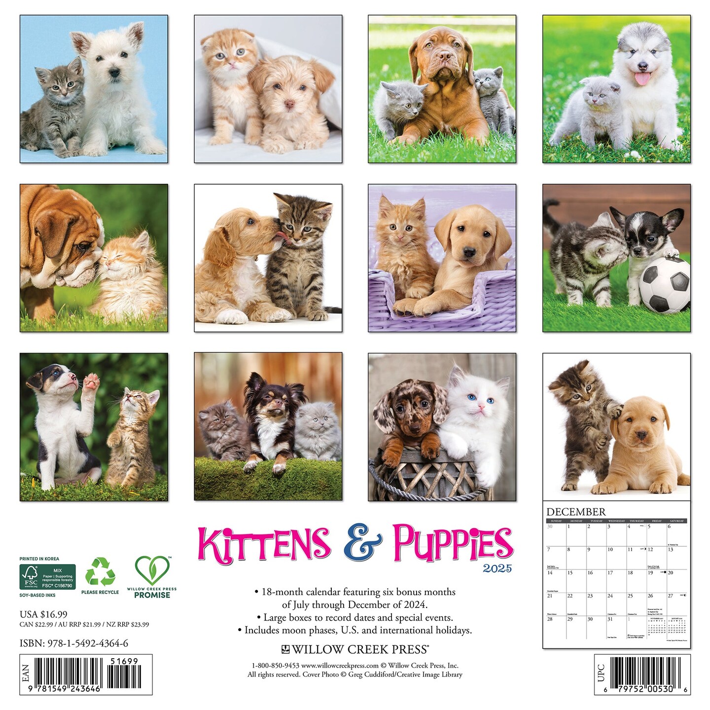 Kittens &#x26; Puppies 2025 Wall Calendar
