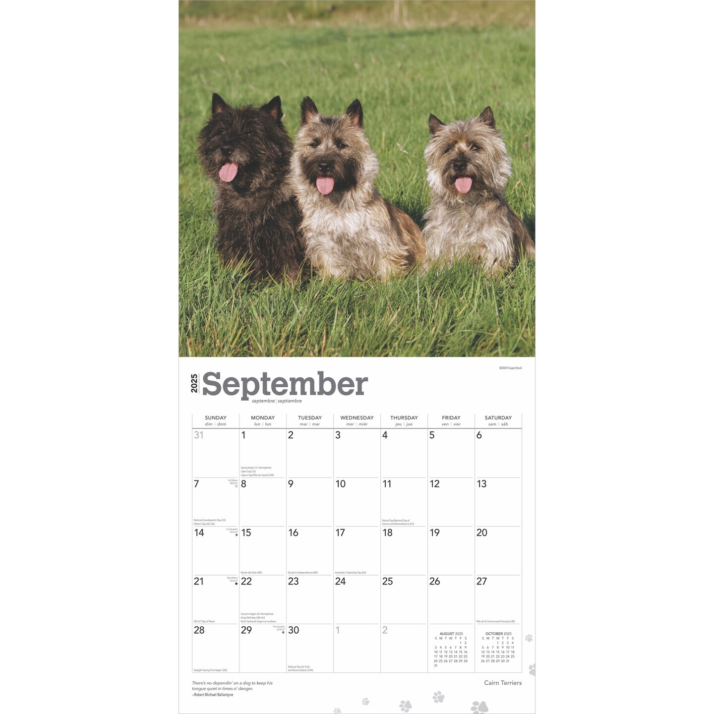 Cairn Terriers | 2025 12 x 24 Inch Monthly Square Wall Calendar | Plastic-Free | BrownTrout | Animals Dog Breeds