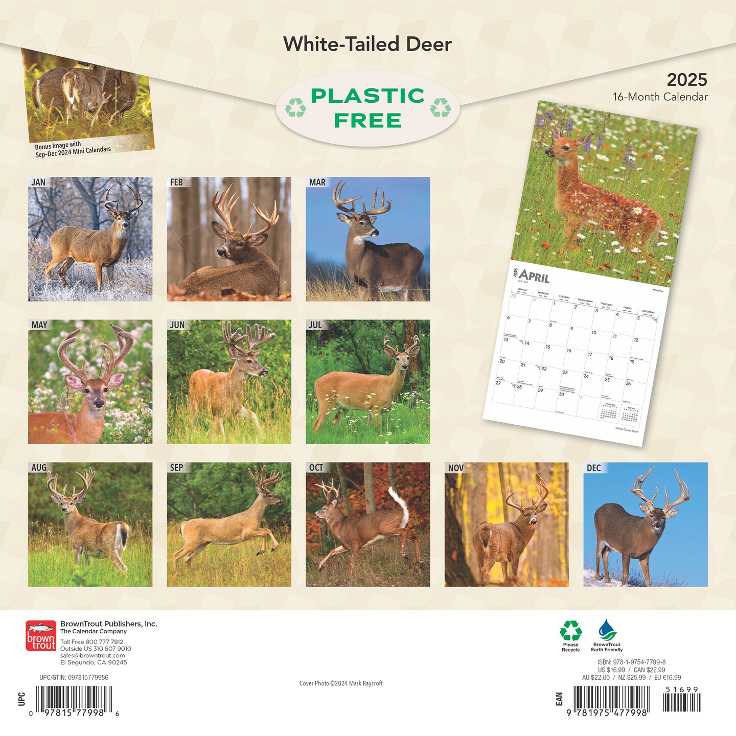 White Tailed Deer | 2025 12 x 24 Inch Monthly Square Wall Calendar | Plastic-Free | BrownTrout | Wildlife Animals Forest Hunting
