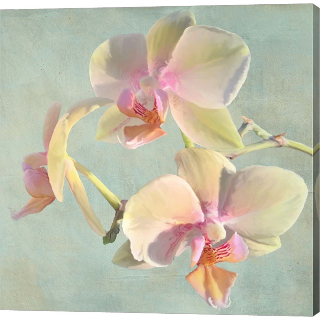 Jewel Orchids I by Luca Villa 24&#x22; x 24&#x22; Canvas Wall Art