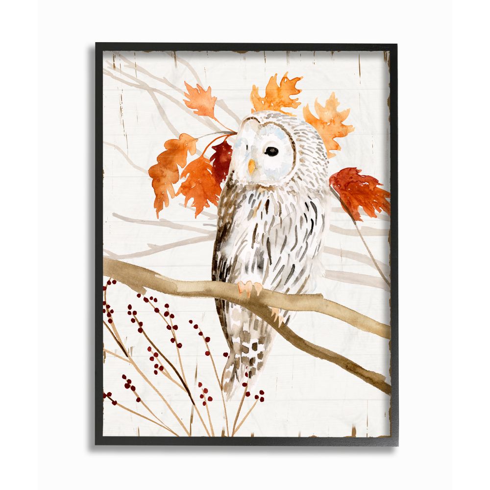 Stupell Industries Owl In Autumnal Forest Framed Giclee Art