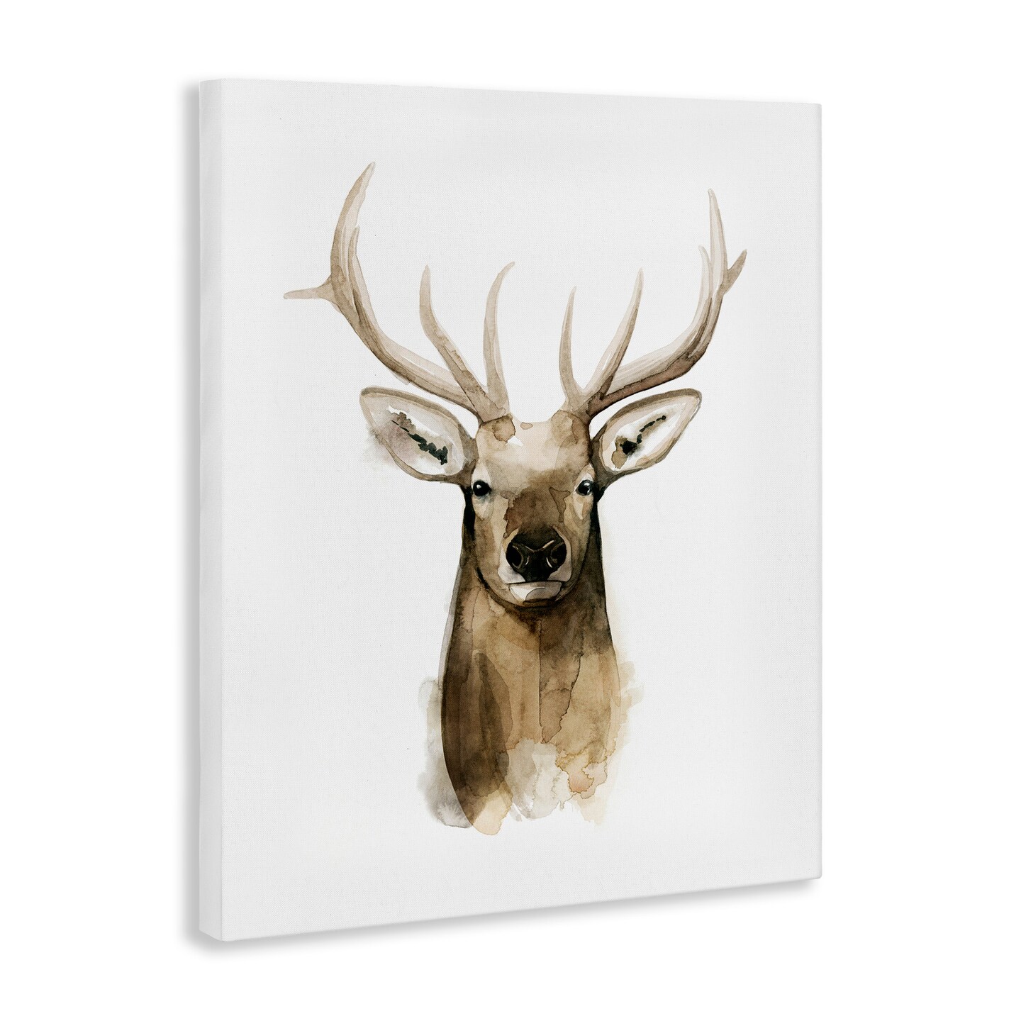 Stupell Industries Deer Portrait Watercolor Canvas Wall Art