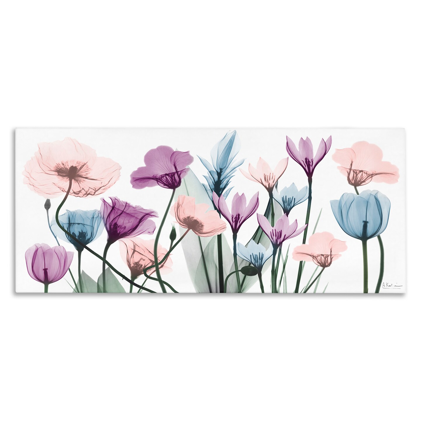 Stupell Industries Modern Translucent Pastel Tulips Canvas Wall Art