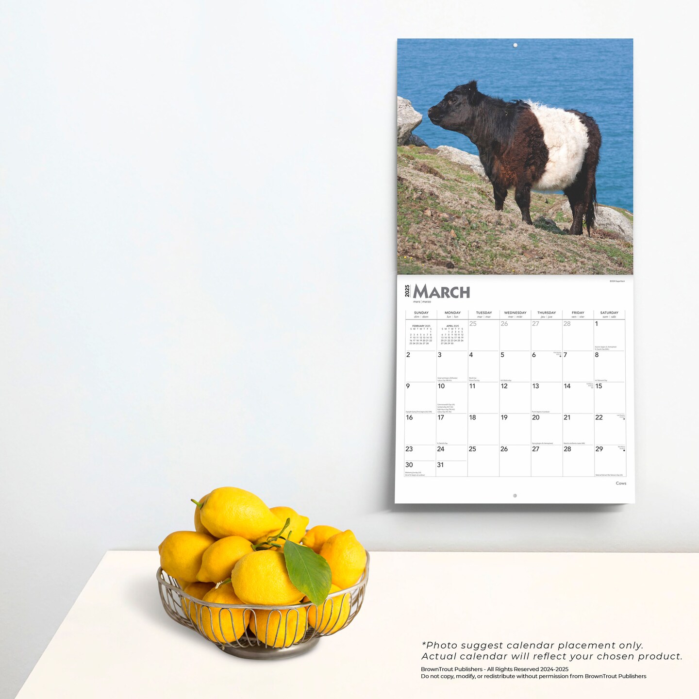 Cows | 2025 12 x 24 Inch Monthly Square Wall Calendar | Plastic-Free | BrownTrout | Domestic Farm Animals