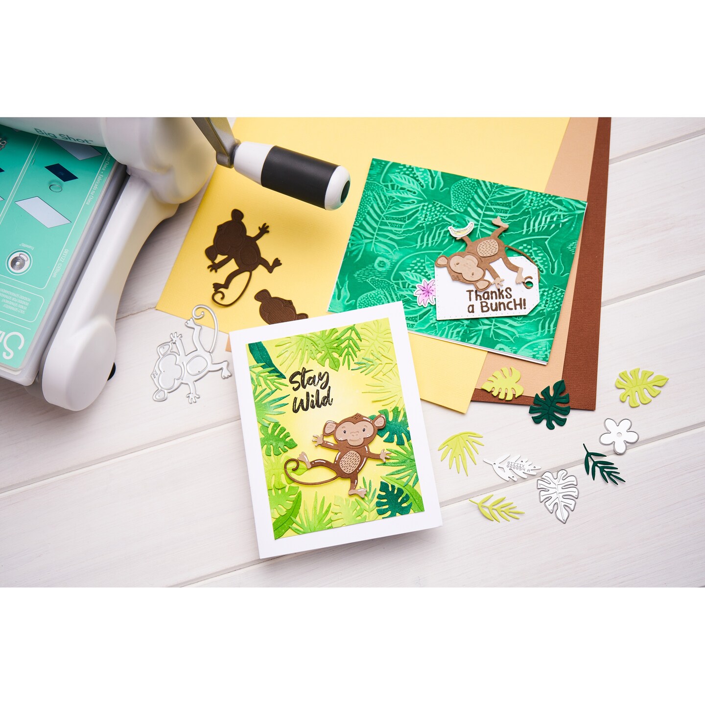 Catherine Pooler Sizzix Bundle 2-It's A Jungle Stencil & Emboss Folder