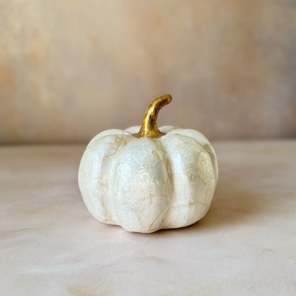 Capiz Ivory Pumpkin | Michaels