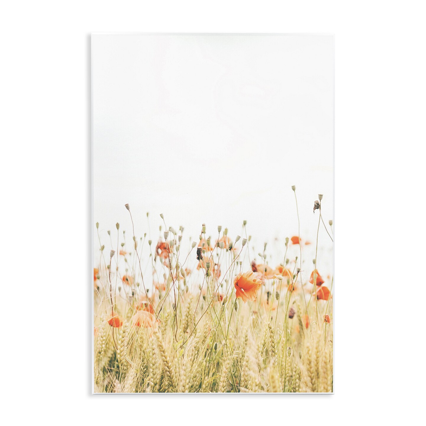 Stupell Industries Poppy Field Photography Wall Plaque Art