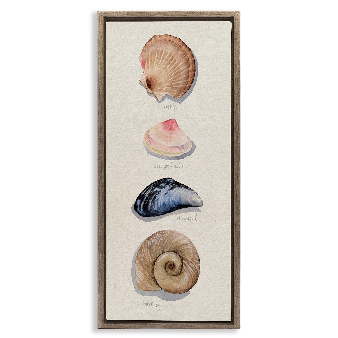 Stupell Industries Traditional Nautical Sea Shells Framed Floater Canvas Wall Art