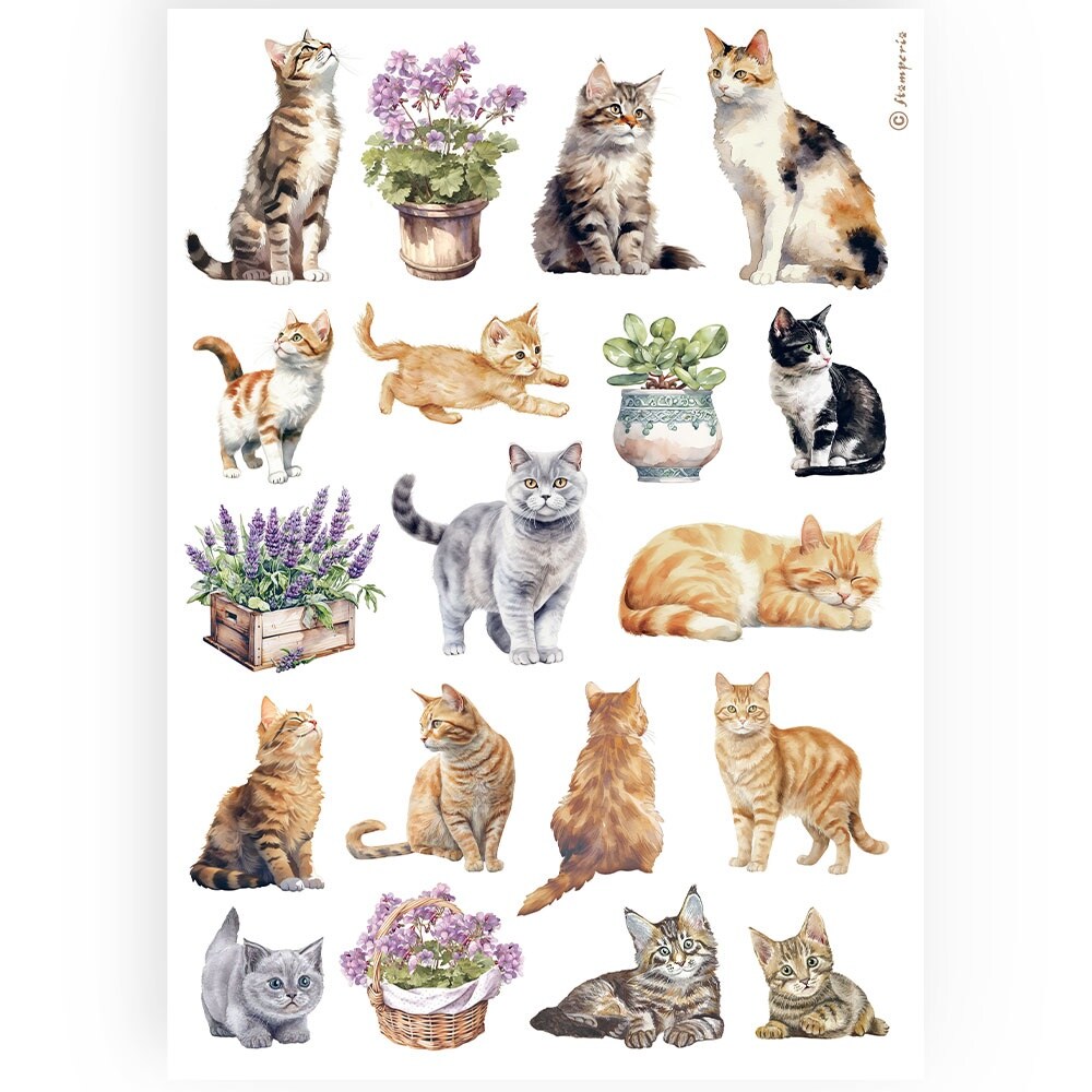 Stamperia Rice Paper Sheet A4-Cats