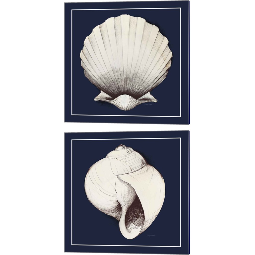 Coastal Shell with Border Navy by Avery Tillmon 14&#x22; x 14&#x22; Canvas Wall Art (Set of 2)