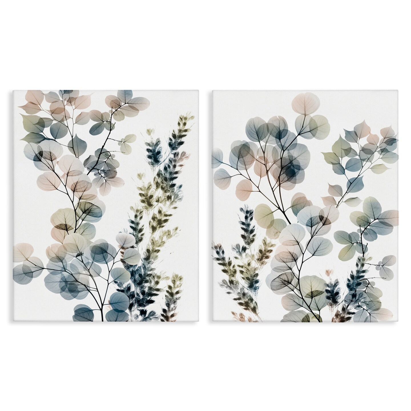 Stupell Industries Collage of Translucent Plants Canvas Wall Art