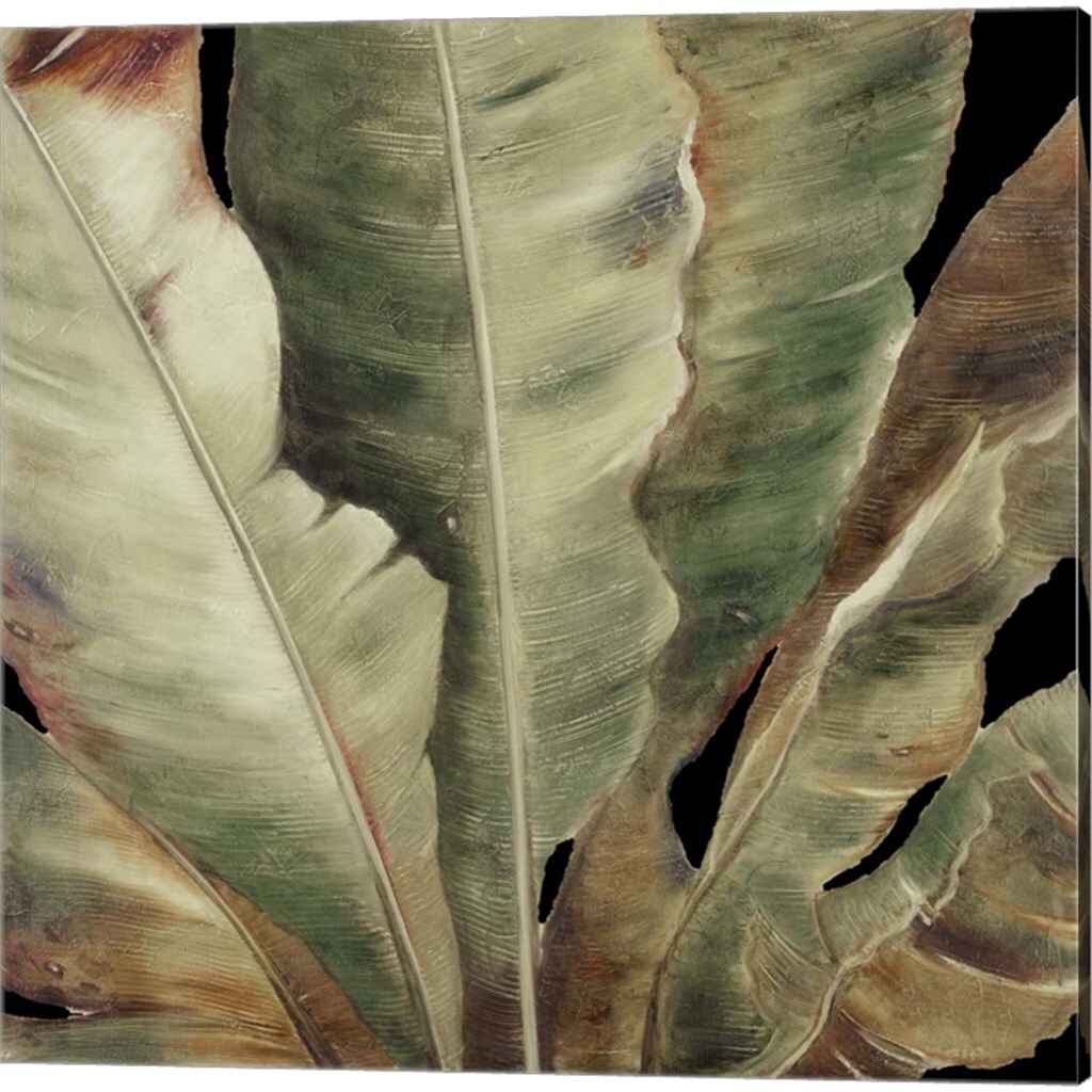 Uraba Palm on Black by Patricia Pinto 14&#x22; x 14&#x22; Canvas Wall Art (Set of 2)