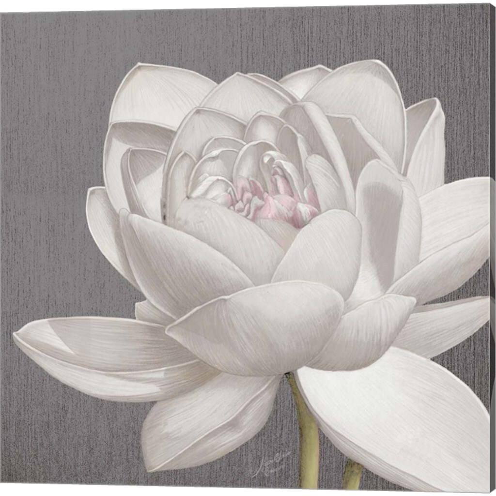 Vintage Lotus on Grey by Marie-Elaine Cusson 14" x 14" Canvas Wall Art (Set of 2)