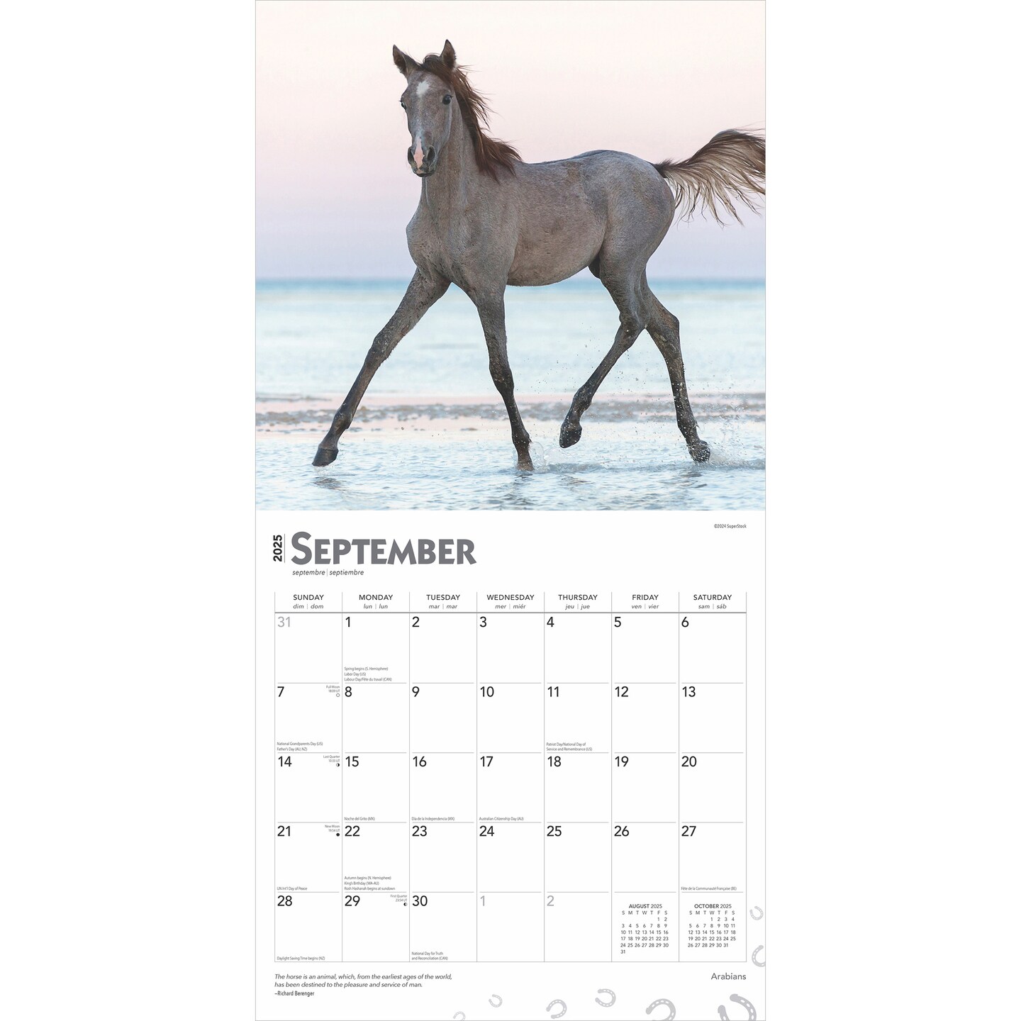 Arabians | 2025 12 x 24 Inch Monthly Square Wall Calendar | BrownTrout | Animals Horses