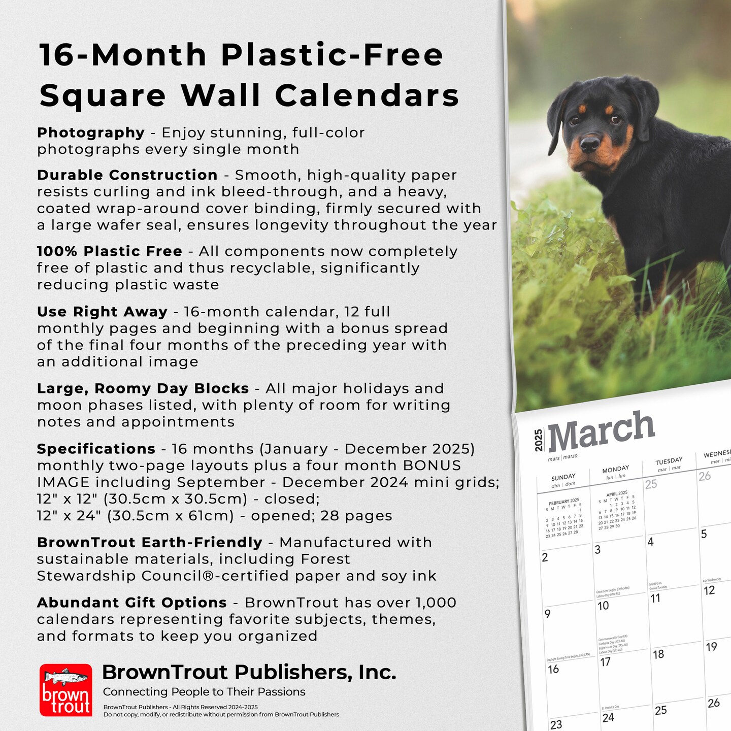 Rottweilers | 2025 12 x 24 Inch Monthly Square Wall Calendar | Plastic-Free | BrownTrout | Animals Dog Breeds