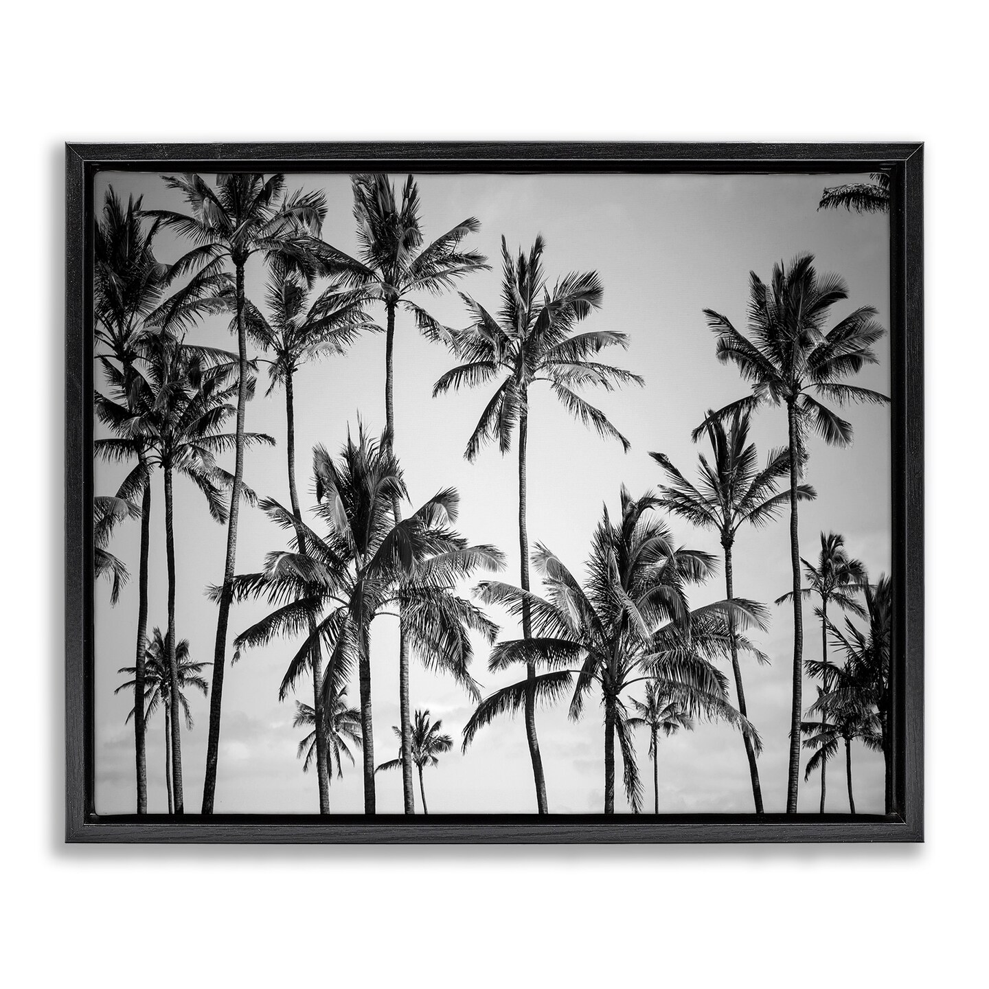 Stupell Industries Black & White Palm Trees Skyline Framed Floater
