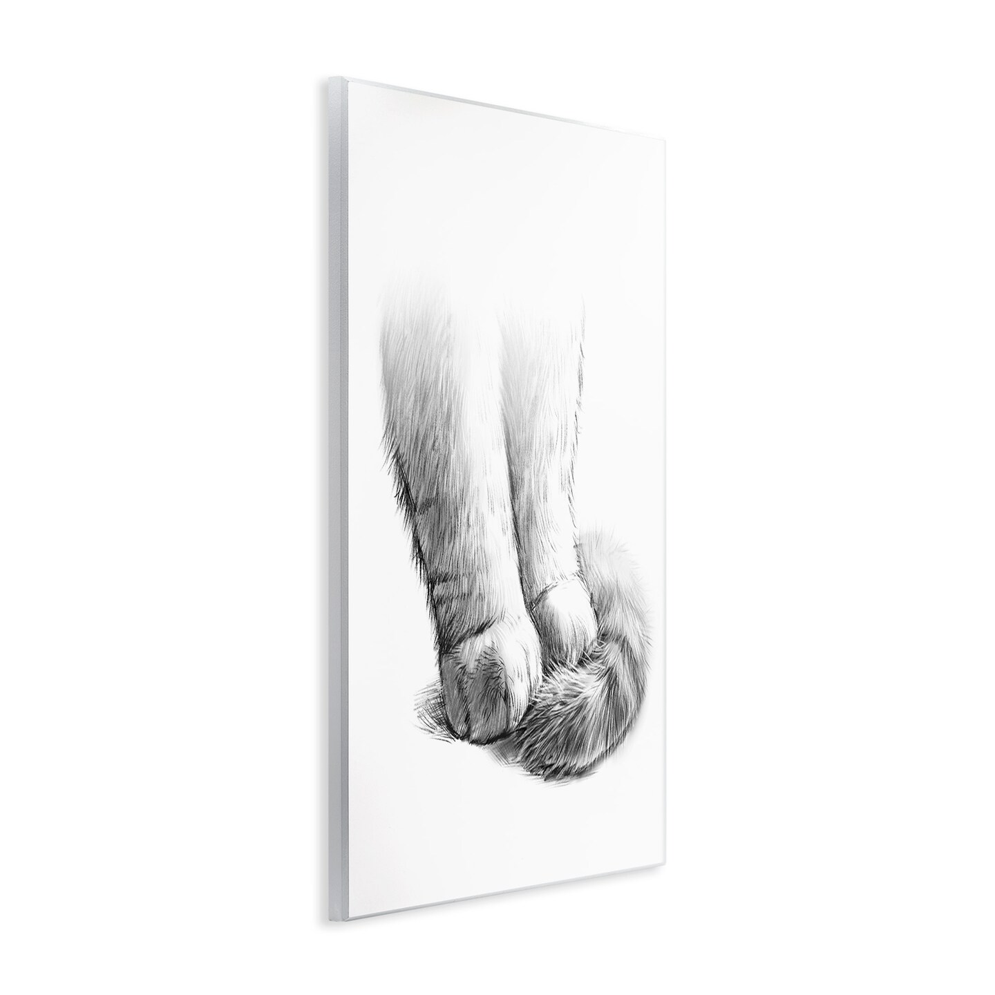 Stupell Industries Fluffy Cat Paws &#x26; Tail Wall Plaque Art