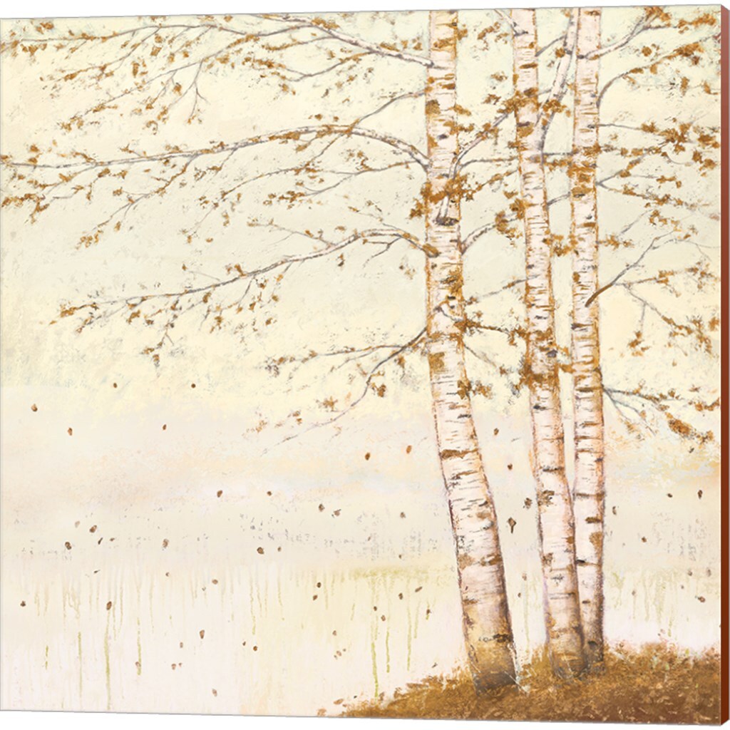 Golden Birch Off White by James Wiens 14" x 14" Canvas Wall Art (Set of 2)