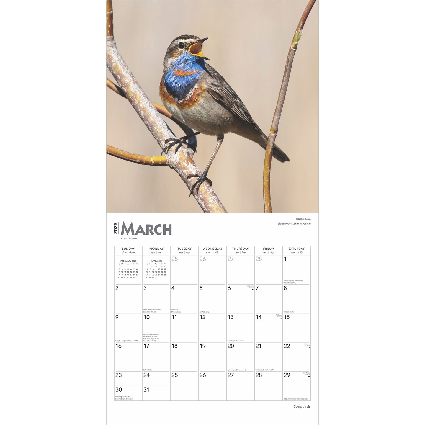Songbirds | 2025 12 x 24 Inch Monthly Square Wall Calendar | Foil Stamped Cover | Plastic-Free | BrownTrout | Wildlife Animals