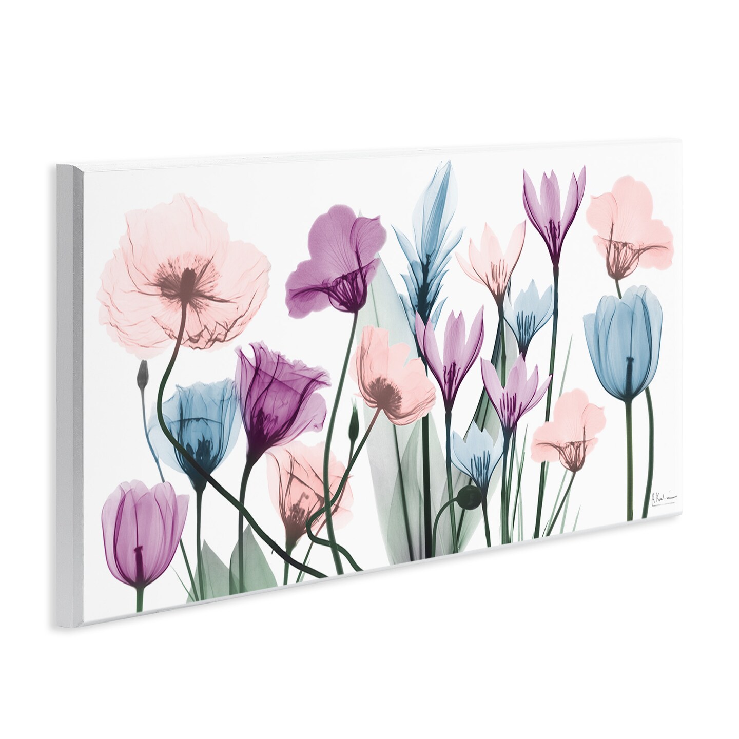 Stupell Industries Modern Translucent Pastel Tulips Wall Plaque Art