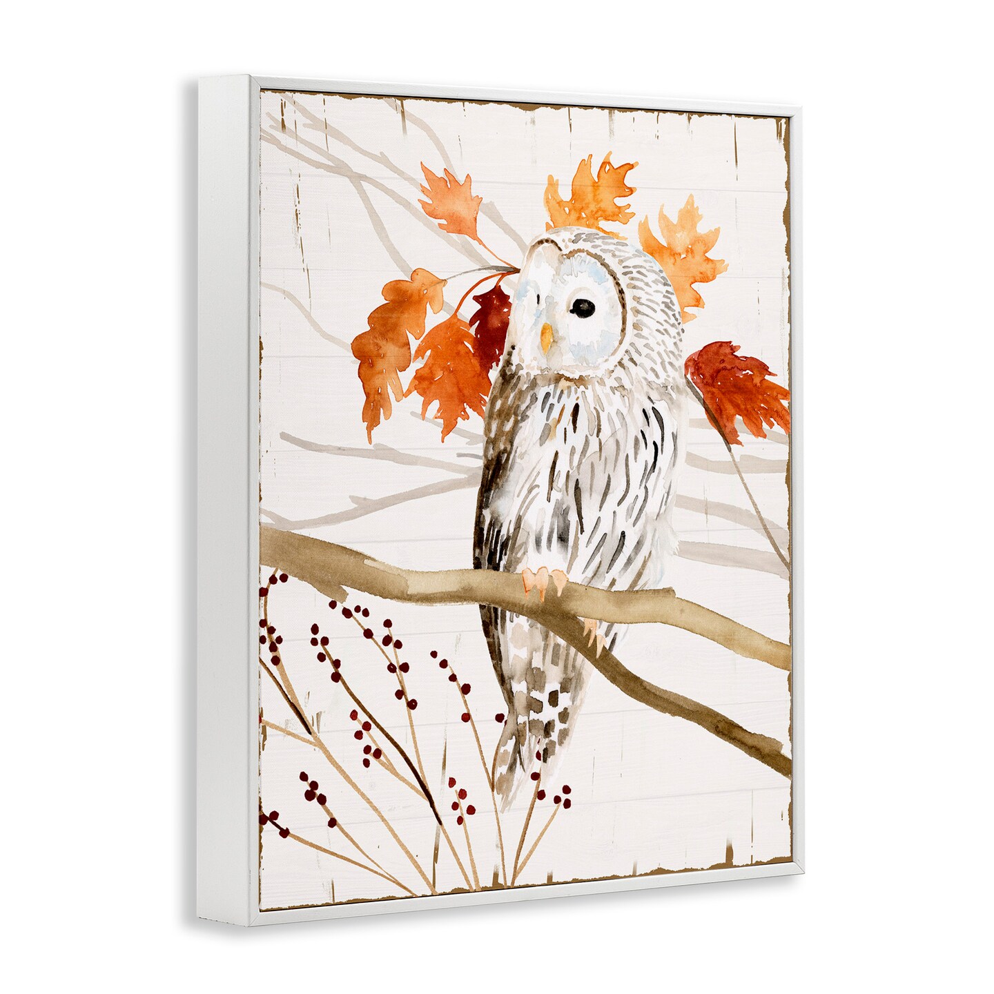 Stupell Industries Owl In Autumnal Forest Framed Giclee Art