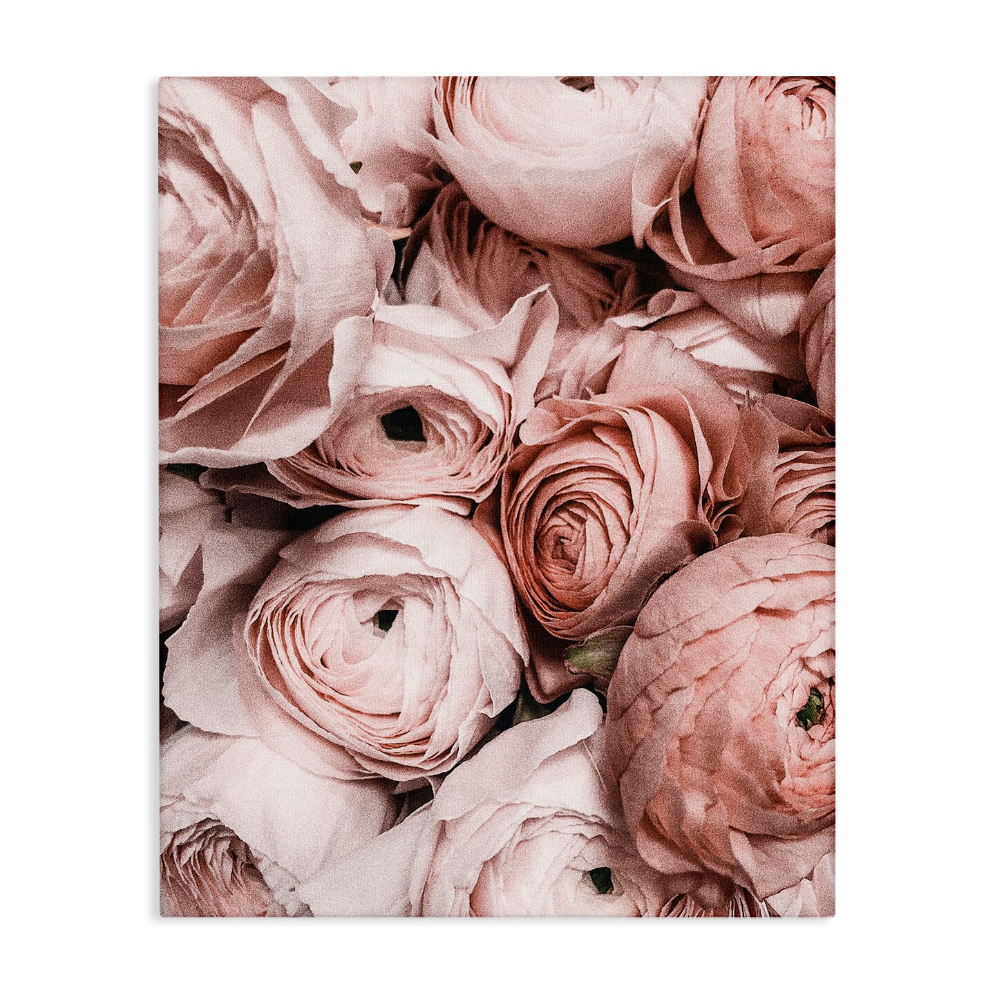 Stupell Industries Pink Muted Peonies Canvas Wall Art