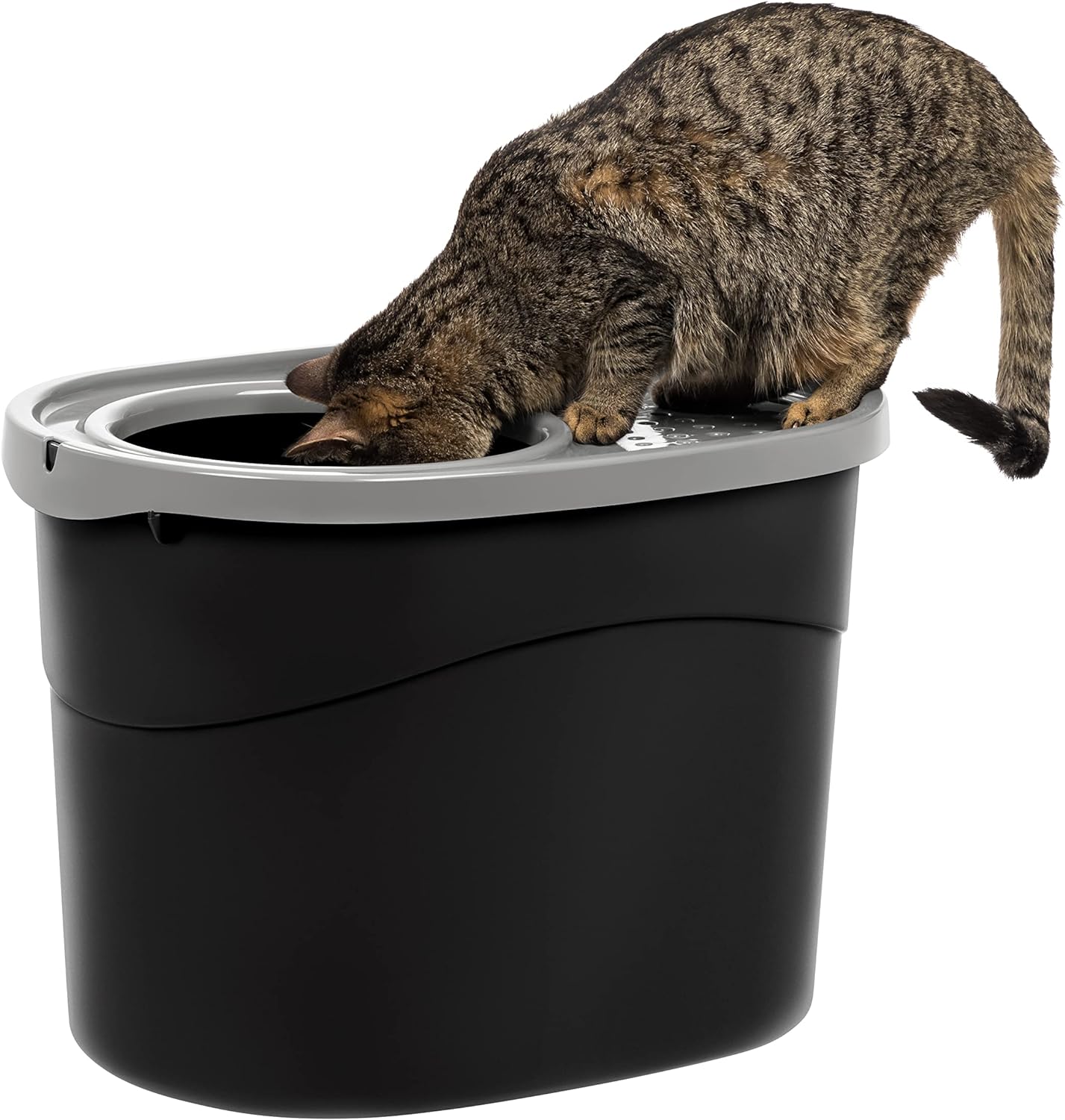 IRIS USA Oval Top Entry Cat Litter Box with Litter Catching Lid, Privacy Walls and Scoop